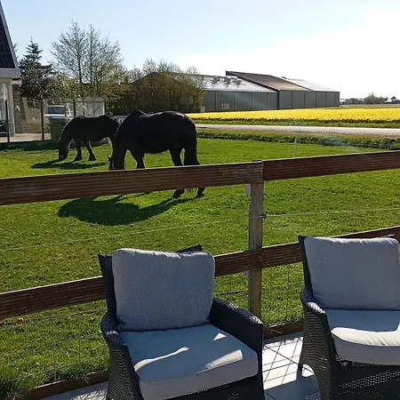 לינה וארוחת בוקר Bloem En Zee Breezand (North Holland)