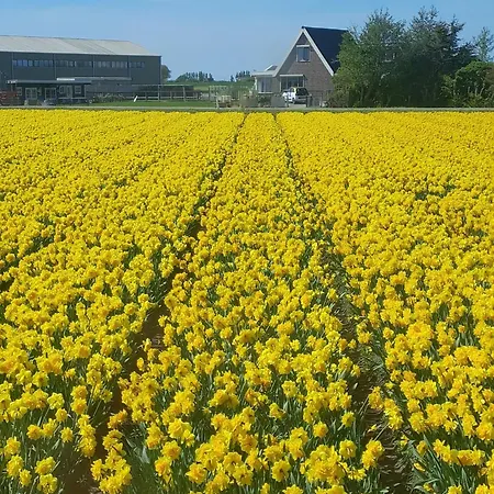 Bloem En Zee Couette-café *